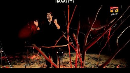 HD Video - Farhan Ali Waris 2015-16 | Unees So Hen Zakham Tan e Chaak Chaak Per