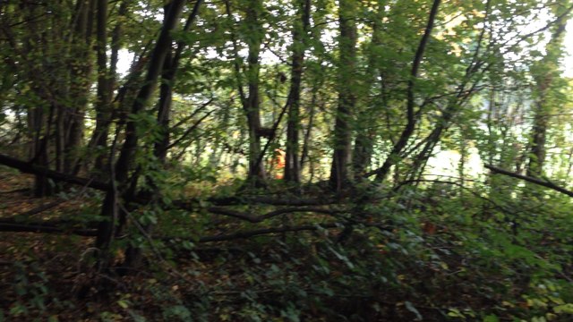 Un dimanche à la chasse en Calvados