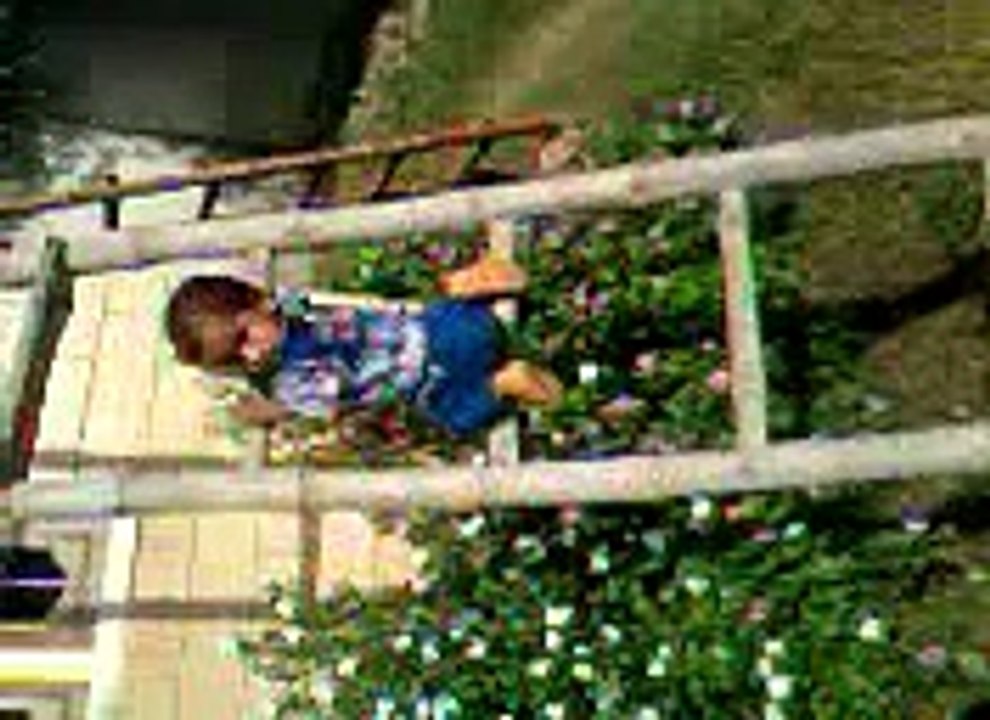 Little champion