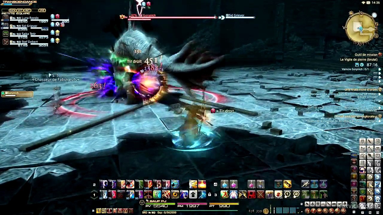 04 - Final Fantasy XIV - Guide - Le Vigile de Pierre (Brutal)
