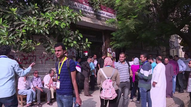Egyptians head to ballot box to elect pro-Sisi parliament