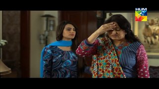 Mol Episode 16 Part 3 HUM TV Drama 19 Sep 2015