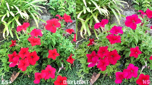 iPhone 6s Plus vs Galaxy Note 5: Camera Comparison!