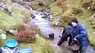 In search of Scottish gold