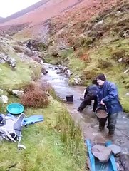 In search of Scottish gold