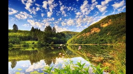 Mediha Şen Sancakoğlu   O Agacın Altı