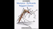 REI DA CACIMBINHA - MURIÇOCA - Ricardo Reggiani remix