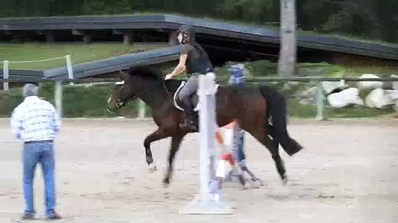 Mécanisation stage MESC