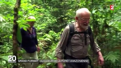 Au coeur de la forêt amazonienne
