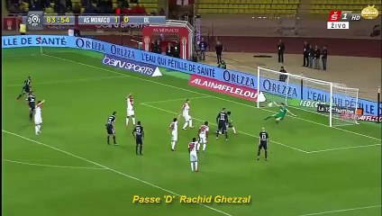 Semaine Du Fennec # 9