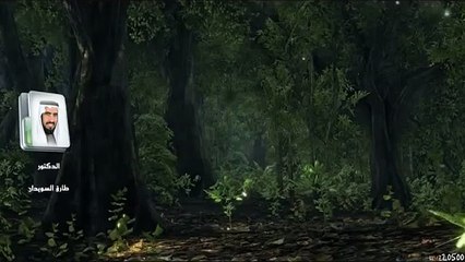 قصة حياة سيرة الامام مالك للشيخ طارق السويدان الحلقة 4