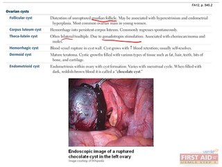 Reproductive Pathology Part 4
