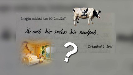 Sınav Sorularına Öğrencilerin Verdikleri Komik Cevaplar