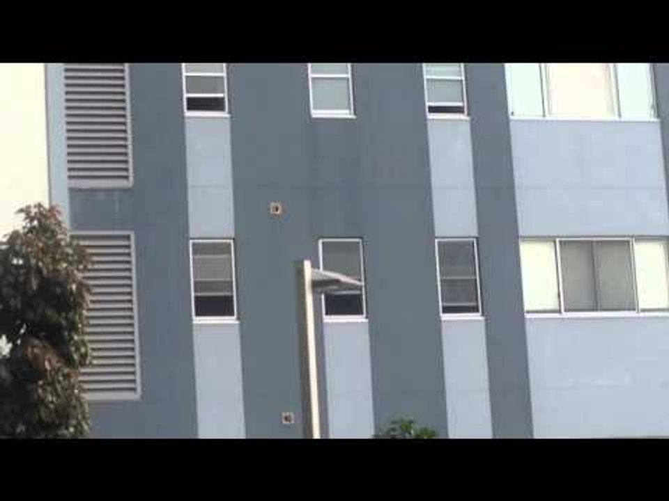 Kookaburras Nesting In Building Vents!