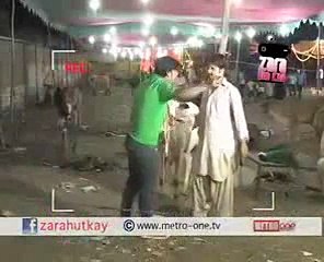 Zara hut kay   ye mera janwar hai