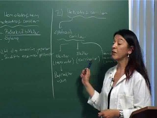 Beslenme iliskileri biyoloji