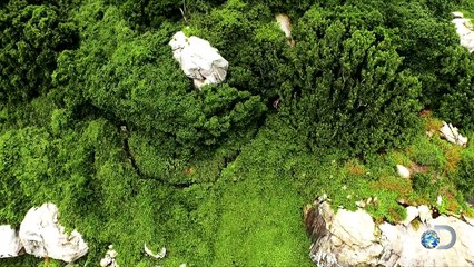 The Perfect Maze for Treasure and Snakes