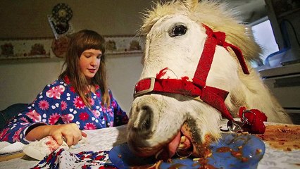 İnsanların Evde Beslediği 20 Sıradışı Hayvan