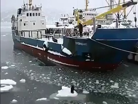 Humanity At its best. Hats off to all the Humans At Sea Watch how Russians rescue a dog stuck on a piece of ice into the sea.
