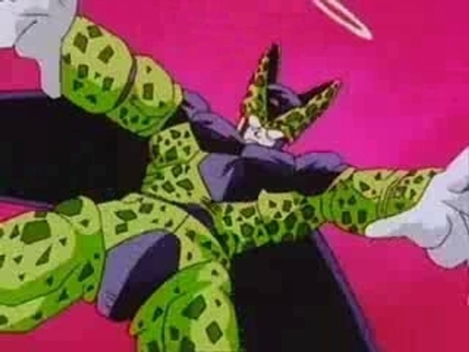 * cell vs paikuan *