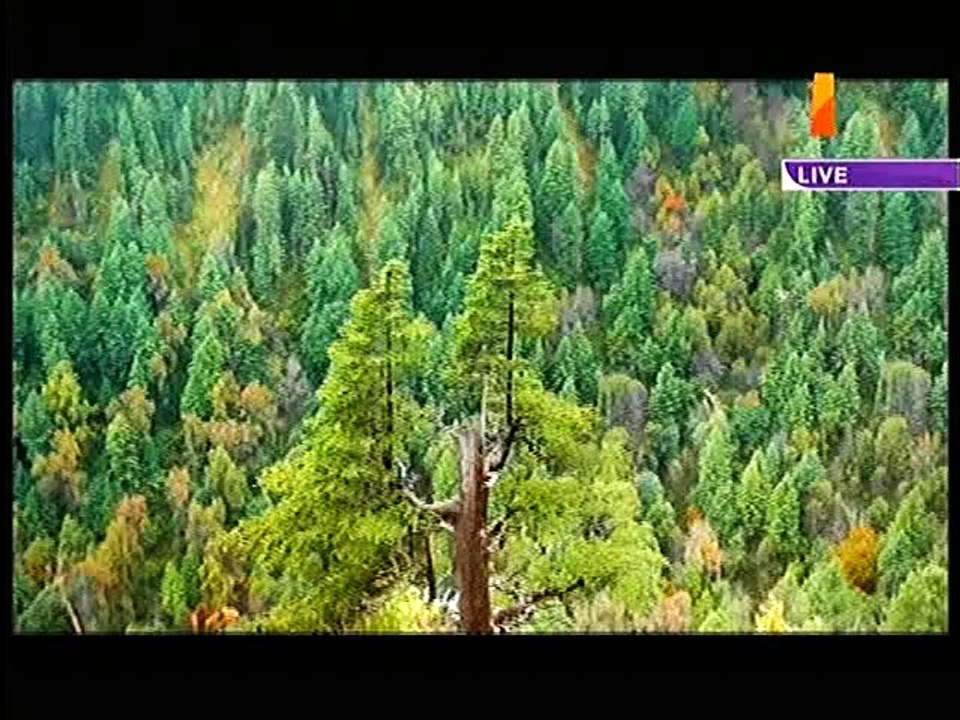 Morning With Farah – 19th October 2015 p3