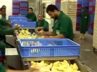 سبحان الله اب تک کی سب سے بڑی ویڈیو اگر دل اجازت دے جائے تو شیر کردیں