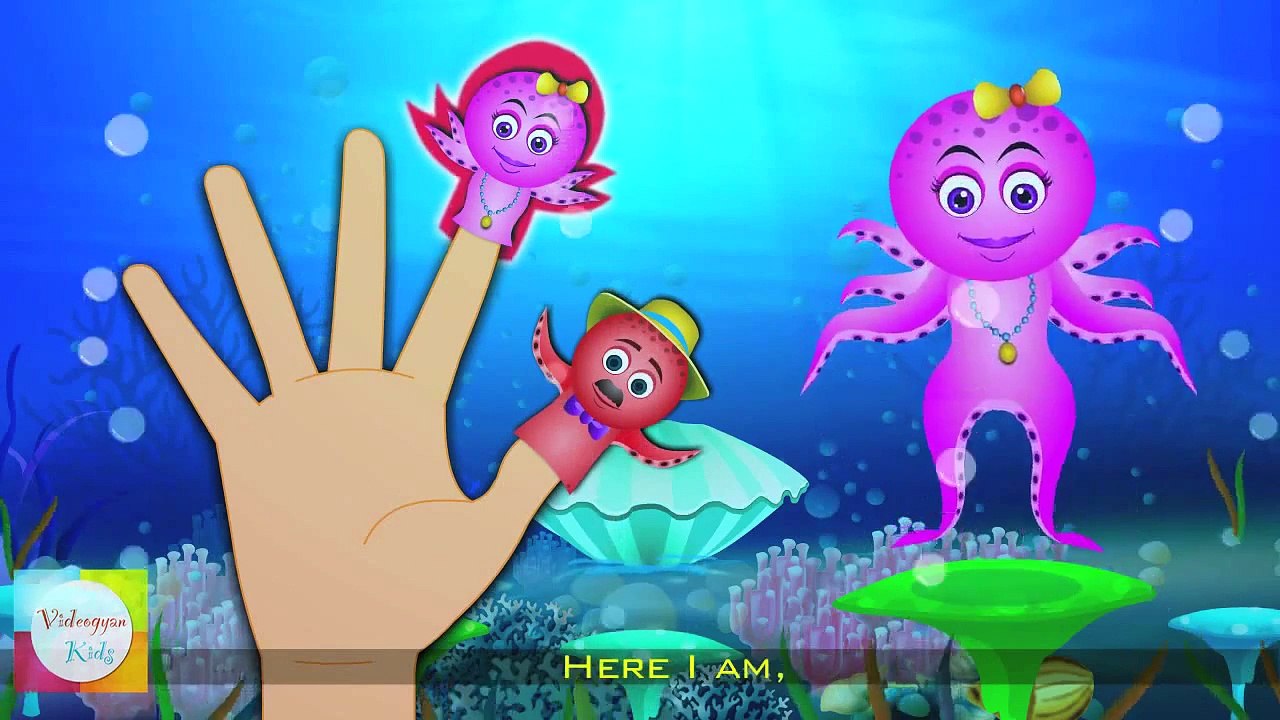 Octopus Finger Family And More