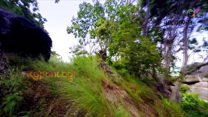 Mischa Chandrawinata Ingin Kunjungi Dari Sabang-Marauke