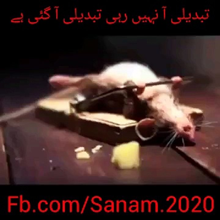 تبدیلی آ نہیں رہی تبدیلی آ گئ ہے