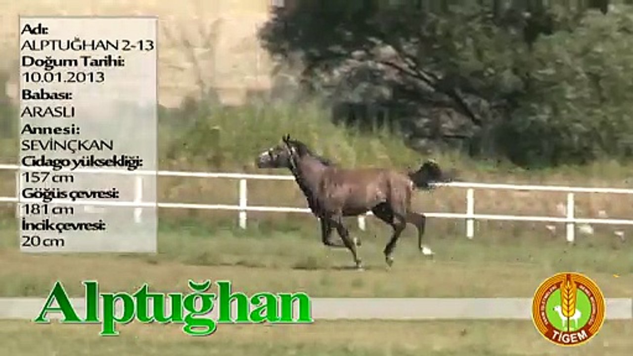 ALPTUĞHAN