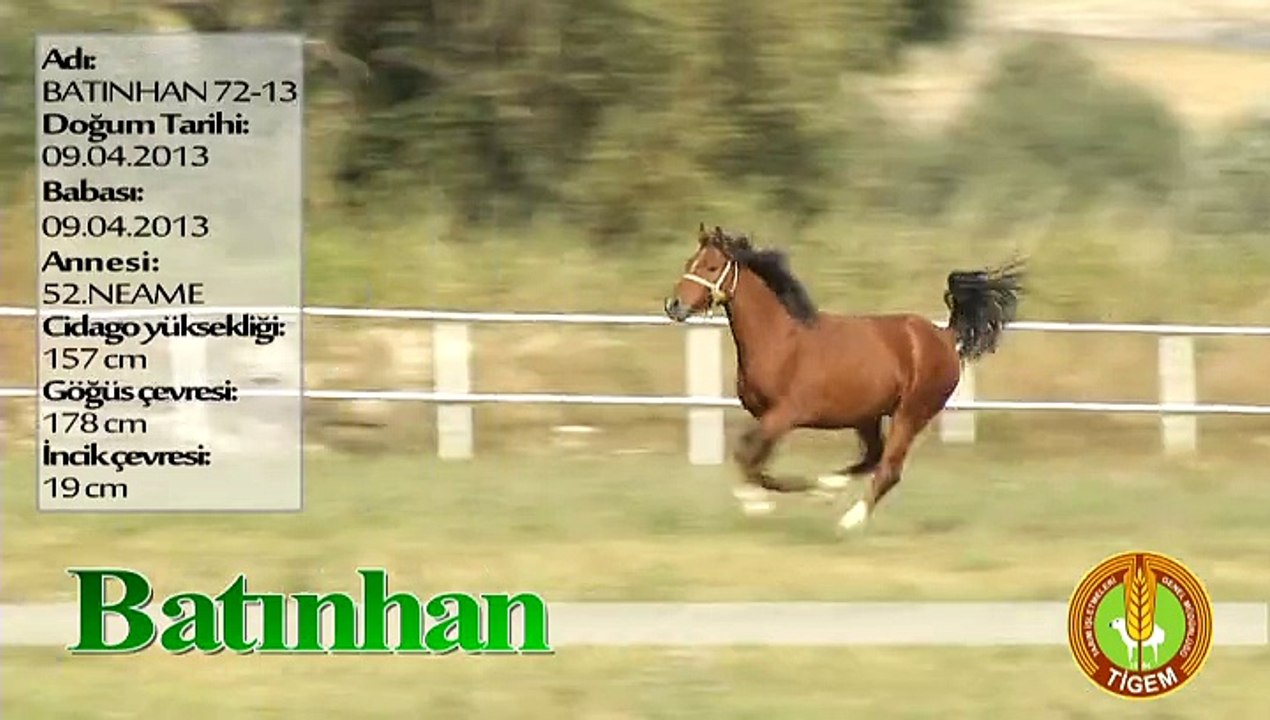 BATINHAN