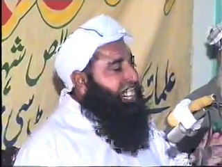 true story by desi molvi