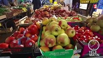 Un logo pour les fruits et légumes français