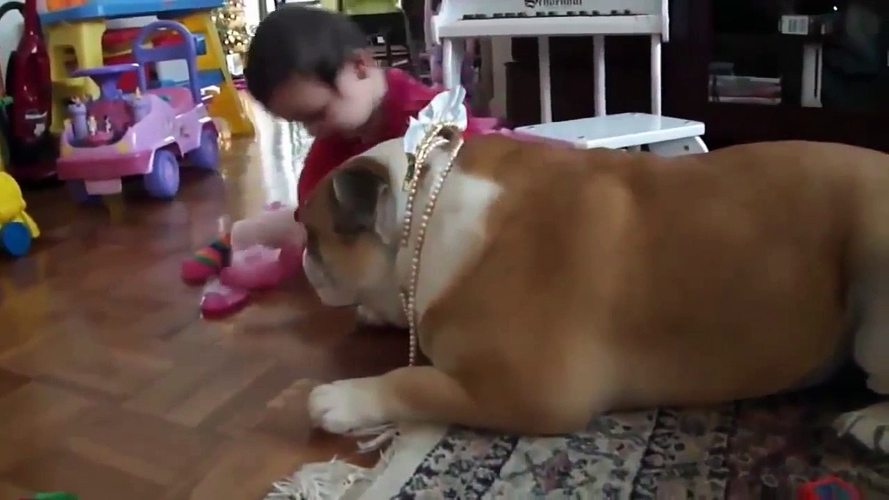 Funny Bulldog and Baby Video Compilation 2015 NEW