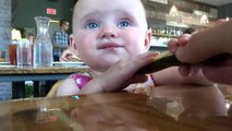 Babies Eating Pickles for the First Time Compilation ,18 Septembre 2015 NEW HD