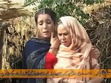 NEW FUNNY Pothwari drama Mangla