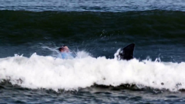 KFC détourne l'attaque de requin de Mick Fanning dans une publicité