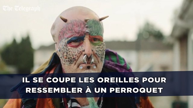 Il se coupe les oreilles pour ressembler à un perroquet