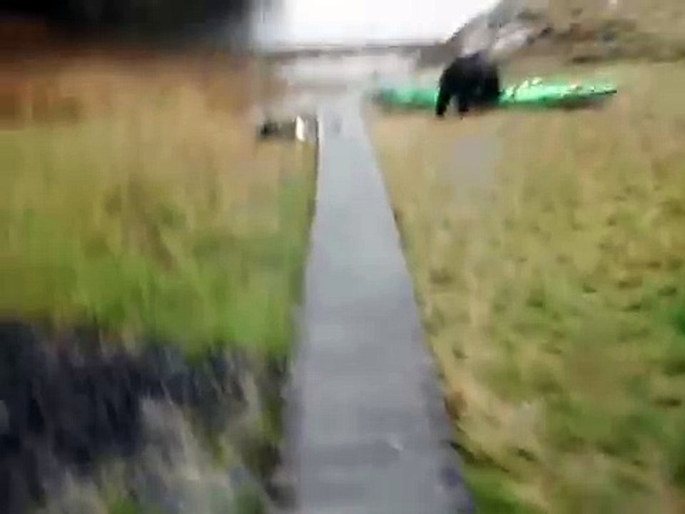 Un ours attaque un kayak