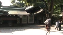Omotesando and the Meiji Shrine, Tokyo - Japan