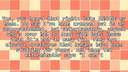 What I Learned About Digital Marketing From Having Bats In My Home