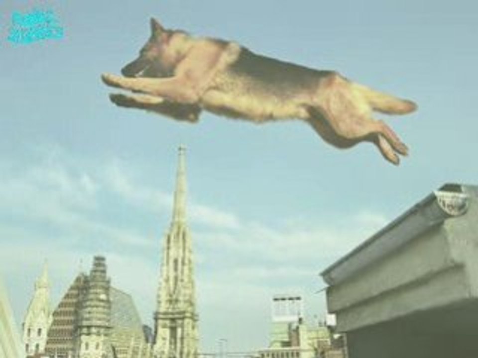 Commissaire Rex-Kommissar Rex-CommissarioRex