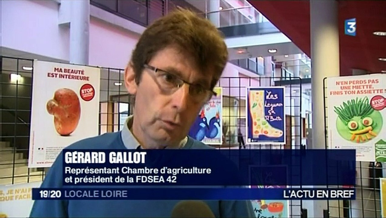 France 3 Loire - 15 octobre 2015