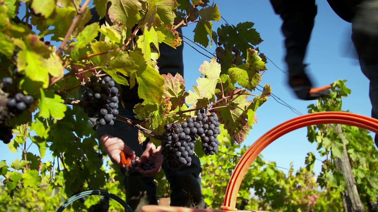 Cap à l'Est - Pays du Toulois - Episode 1