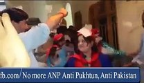 Dance Party Of ANP Ministers