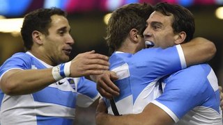 L'Argentine élimine l'Irlande (43-20) et se qualifie pour les demi-finales de la Coupe du monde