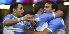 L'Argentine élimine l'Irlande (43-20) et se qualifie pour les demi-finales de la Coupe du monde