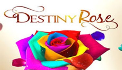 Destiny Rose October 19, 2015 Part 3