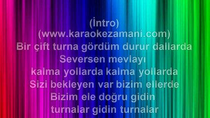 Murat Kekili - Bir Cift Turna - 2002 TÜRKÇE KARAOKE