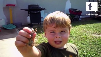 Chases frog like he a frog -Babies Mastia